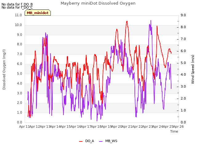 plot of Mayberry miniDot Dissolved Oxygen