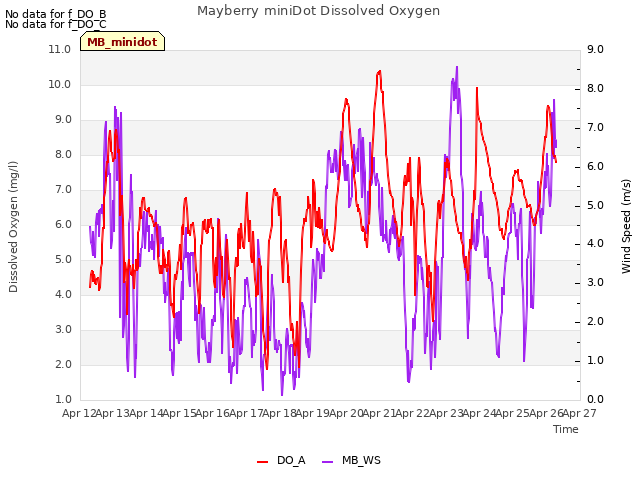 plot of Mayberry miniDot Dissolved Oxygen