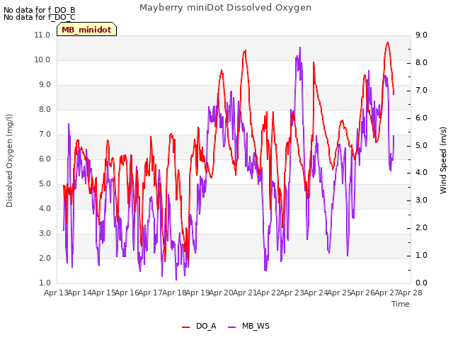 plot of Mayberry miniDot Dissolved Oxygen