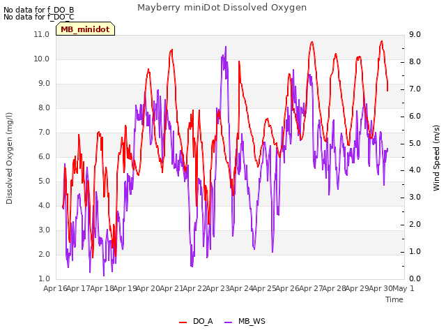 plot of Mayberry miniDot Dissolved Oxygen