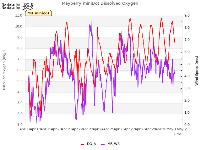 plot of Mayberry miniDot Dissolved Oxygen