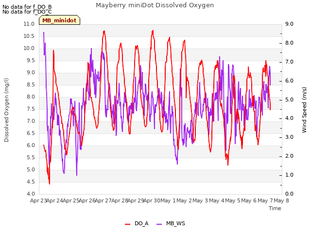 plot of Mayberry miniDot Dissolved Oxygen