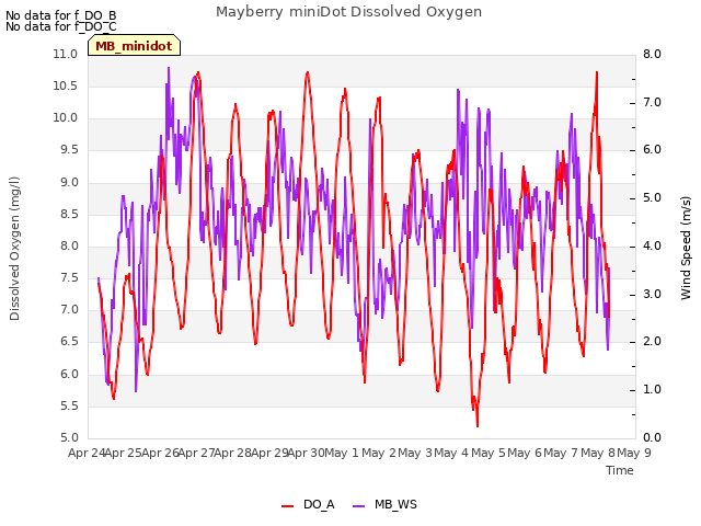 plot of Mayberry miniDot Dissolved Oxygen