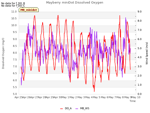 plot of Mayberry miniDot Dissolved Oxygen
