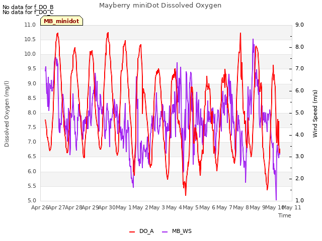 plot of Mayberry miniDot Dissolved Oxygen