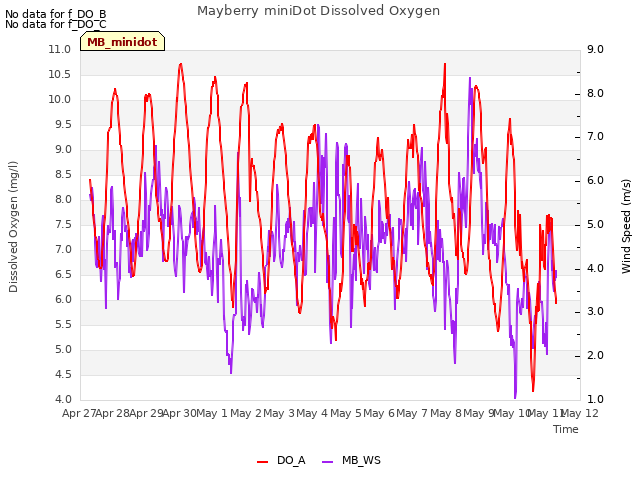 plot of Mayberry miniDot Dissolved Oxygen