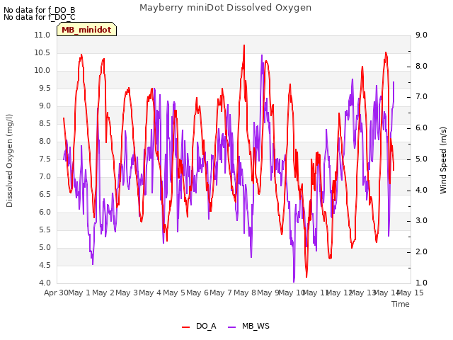 plot of Mayberry miniDot Dissolved Oxygen