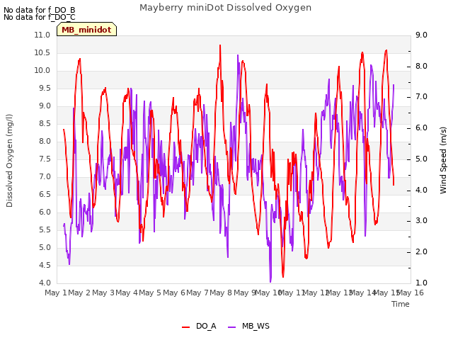 plot of Mayberry miniDot Dissolved Oxygen