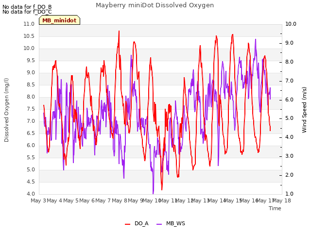 plot of Mayberry miniDot Dissolved Oxygen