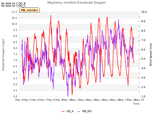 plot of Mayberry miniDot Dissolved Oxygen