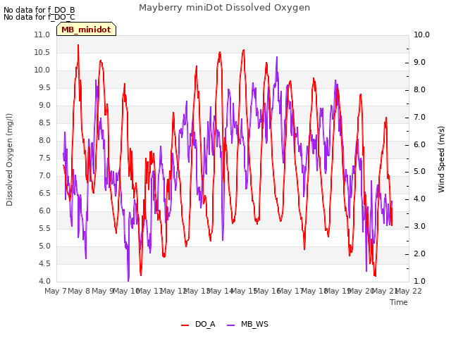 plot of Mayberry miniDot Dissolved Oxygen