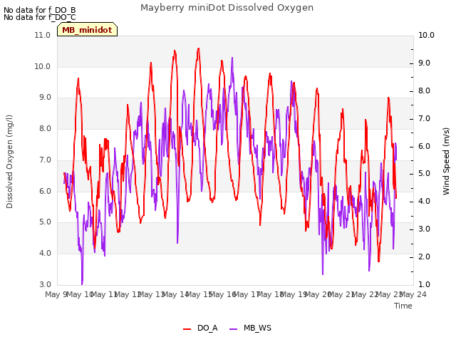 plot of Mayberry miniDot Dissolved Oxygen