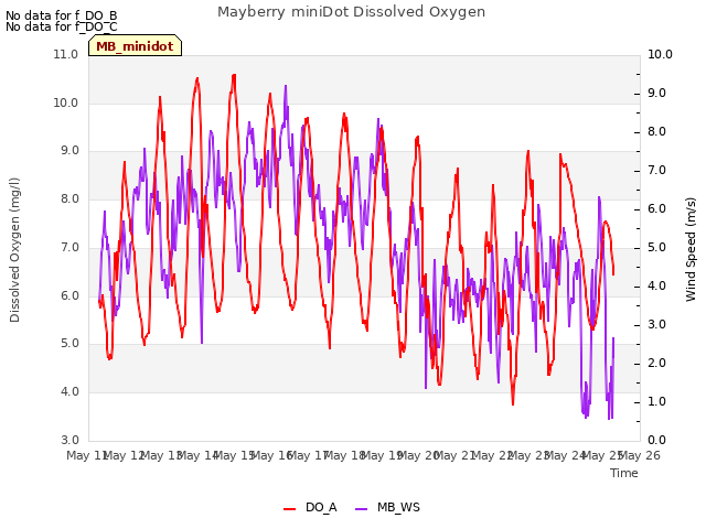 plot of Mayberry miniDot Dissolved Oxygen