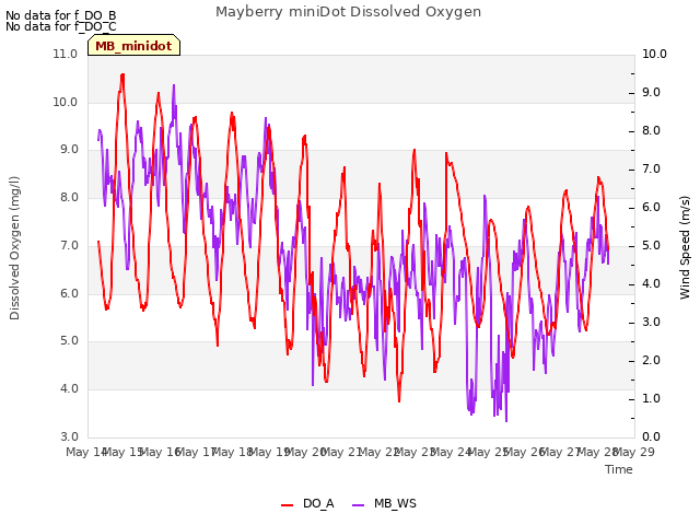 plot of Mayberry miniDot Dissolved Oxygen