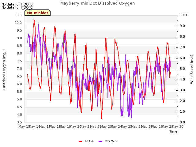 plot of Mayberry miniDot Dissolved Oxygen