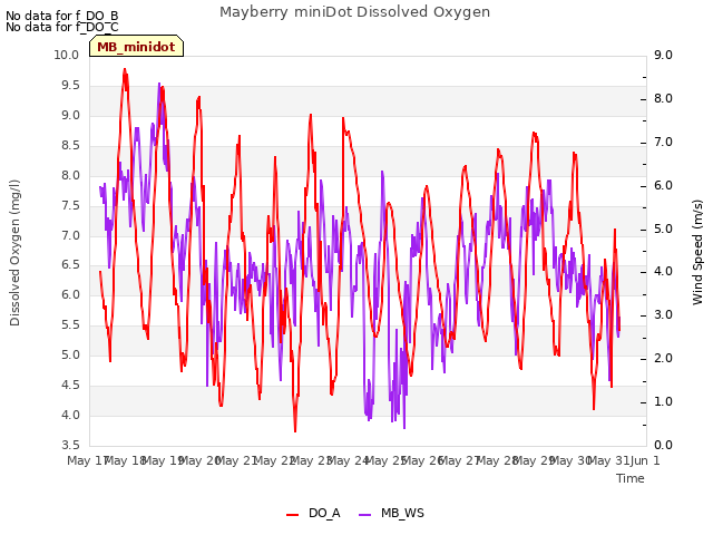 plot of Mayberry miniDot Dissolved Oxygen