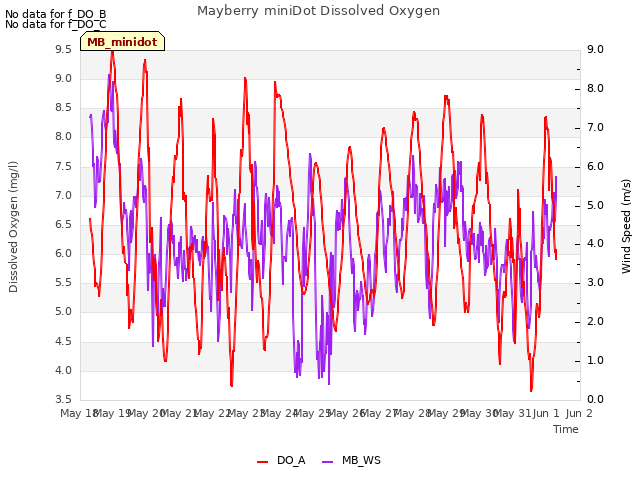 plot of Mayberry miniDot Dissolved Oxygen