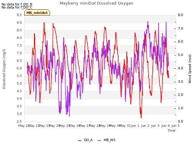 plot of Mayberry miniDot Dissolved Oxygen