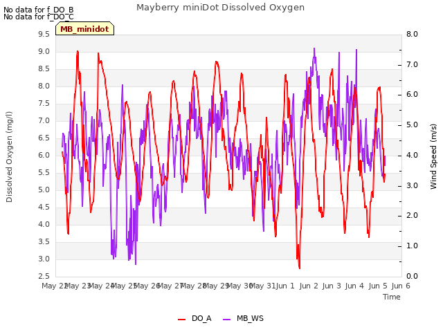 plot of Mayberry miniDot Dissolved Oxygen