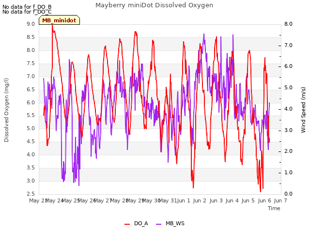 plot of Mayberry miniDot Dissolved Oxygen