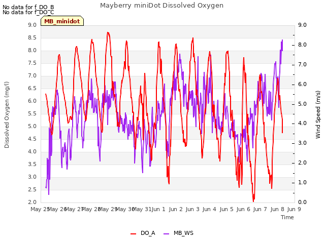 plot of Mayberry miniDot Dissolved Oxygen