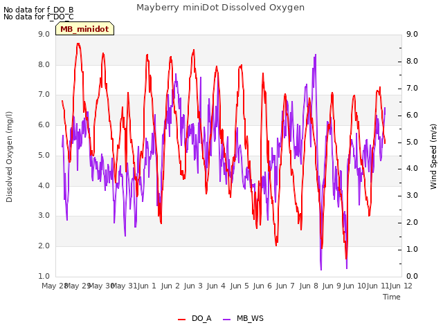 plot of Mayberry miniDot Dissolved Oxygen