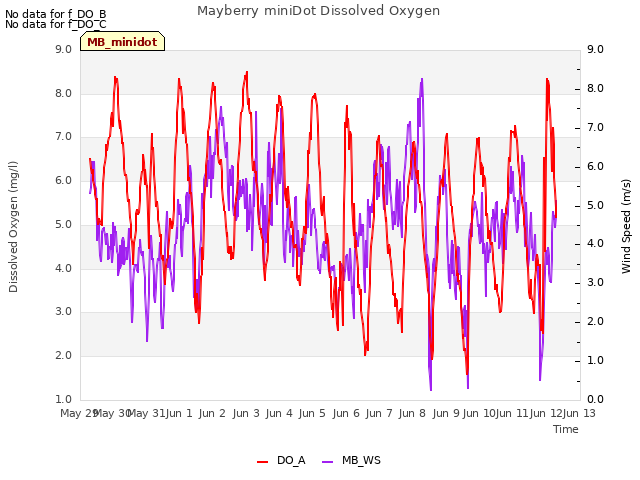 plot of Mayberry miniDot Dissolved Oxygen