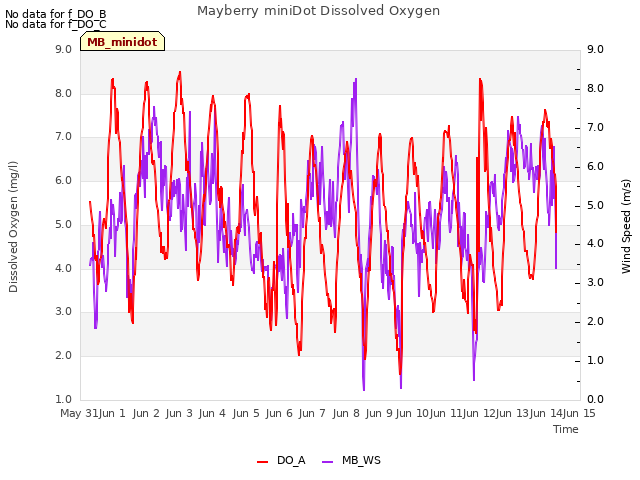 plot of Mayberry miniDot Dissolved Oxygen