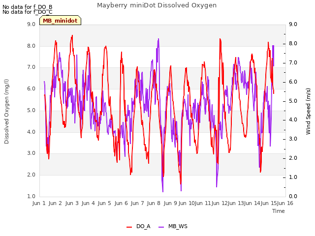 plot of Mayberry miniDot Dissolved Oxygen