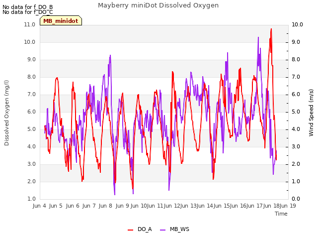 plot of Mayberry miniDot Dissolved Oxygen