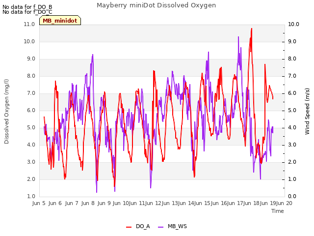 plot of Mayberry miniDot Dissolved Oxygen