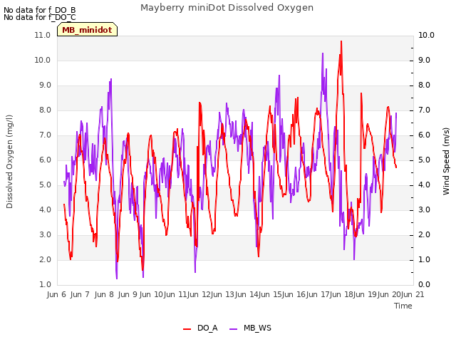 plot of Mayberry miniDot Dissolved Oxygen