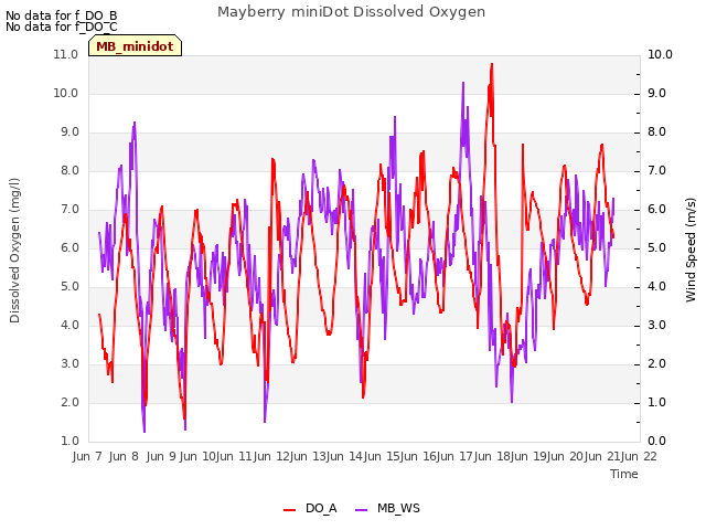 plot of Mayberry miniDot Dissolved Oxygen