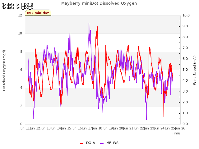 plot of Mayberry miniDot Dissolved Oxygen