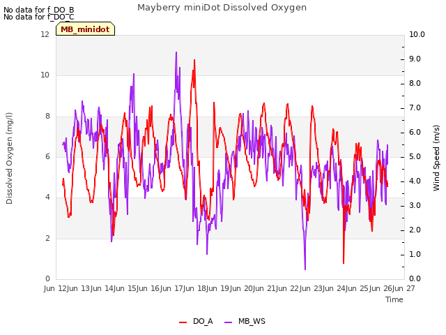 plot of Mayberry miniDot Dissolved Oxygen