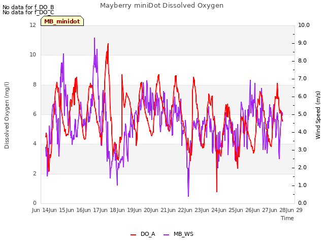 plot of Mayberry miniDot Dissolved Oxygen