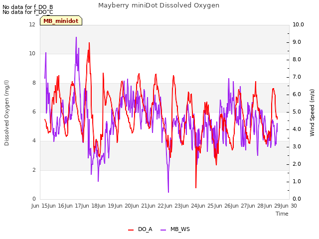 plot of Mayberry miniDot Dissolved Oxygen