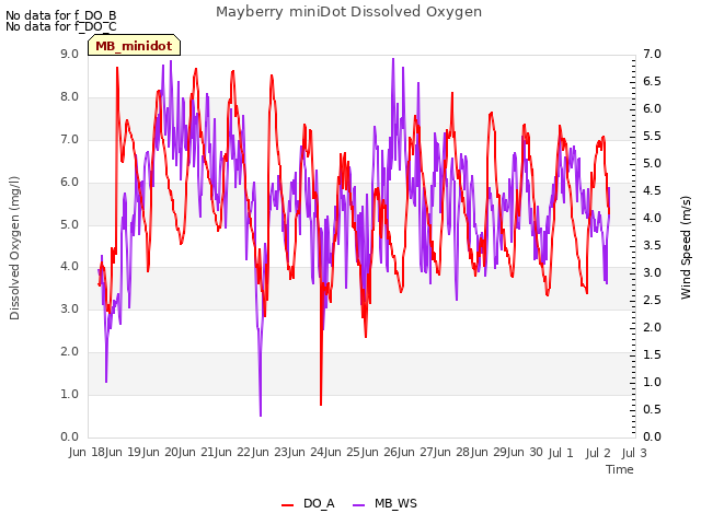 plot of Mayberry miniDot Dissolved Oxygen