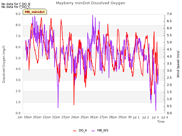 plot of Mayberry miniDot Dissolved Oxygen