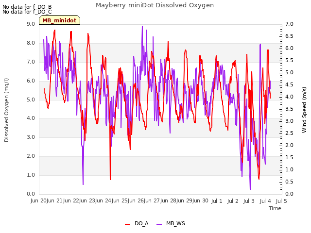 plot of Mayberry miniDot Dissolved Oxygen