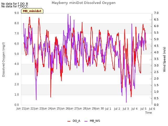 plot of Mayberry miniDot Dissolved Oxygen