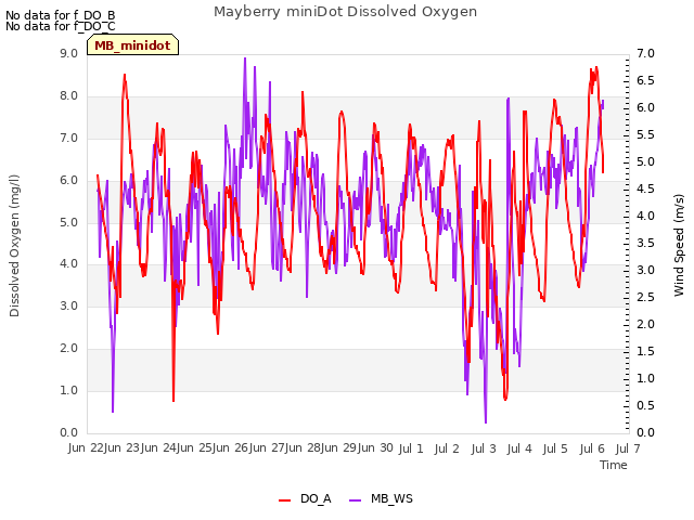 plot of Mayberry miniDot Dissolved Oxygen