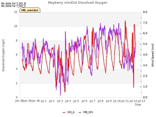 plot of Mayberry miniDot Dissolved Oxygen