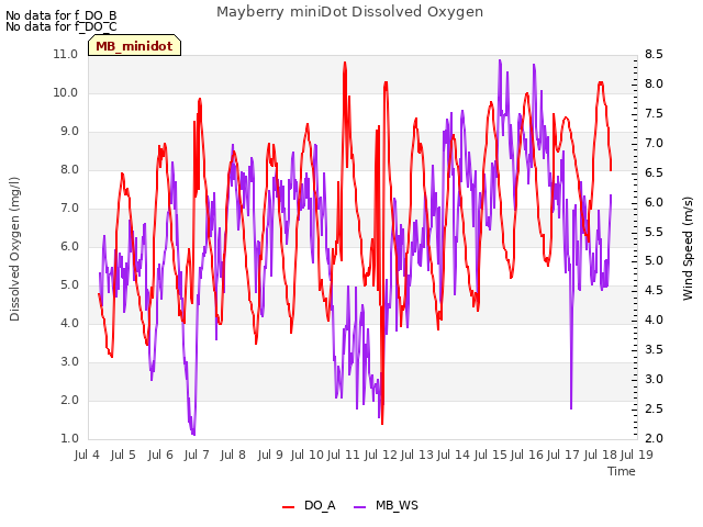 plot of Mayberry miniDot Dissolved Oxygen