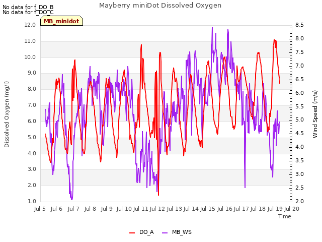 plot of Mayberry miniDot Dissolved Oxygen