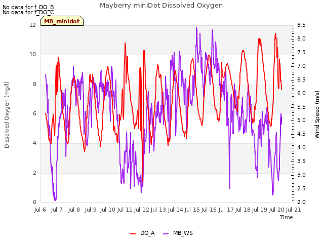 plot of Mayberry miniDot Dissolved Oxygen