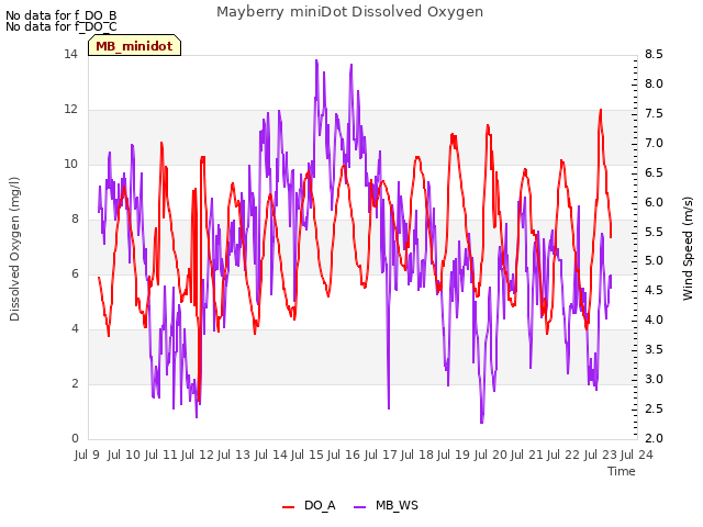plot of Mayberry miniDot Dissolved Oxygen