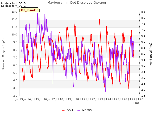 plot of Mayberry miniDot Dissolved Oxygen