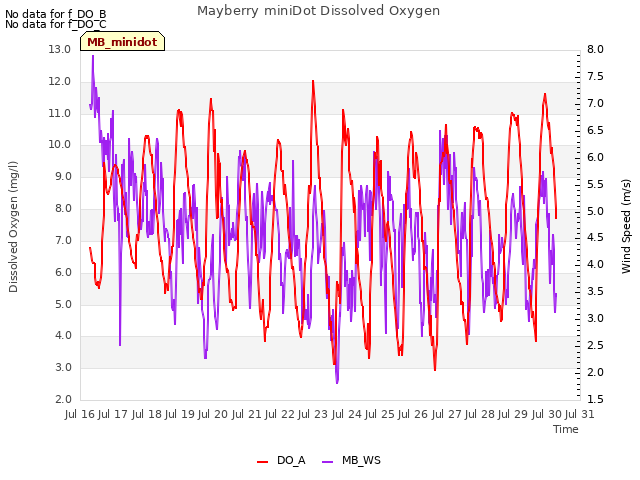 plot of Mayberry miniDot Dissolved Oxygen