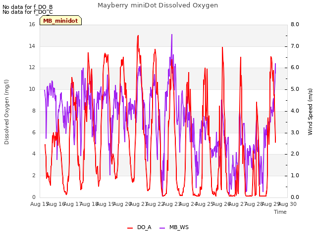 plot of Mayberry miniDot Dissolved Oxygen